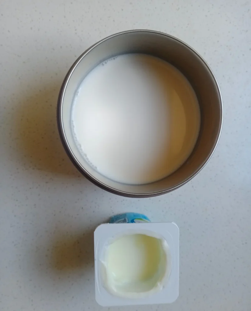Milk and plain yogurt starter for making homemade yogurt