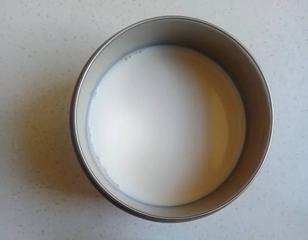 Plain yogurt starter in a small bowl for making homemade yogurt