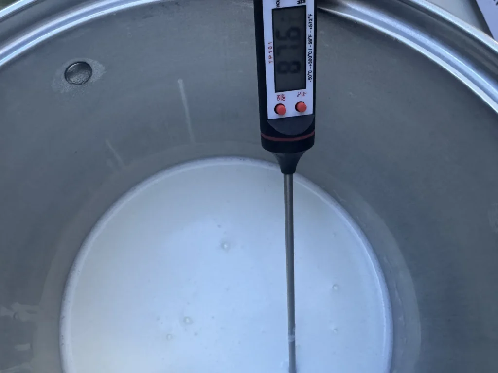 Checking warm milk temperature with an instant-read thermometer