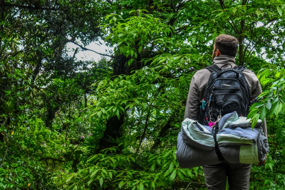 Backpacker walking through a green forest with bundled camping gear strapped below the backpack.