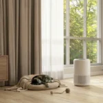 Cat resting near an air purifier in a bright pet-friendly living space