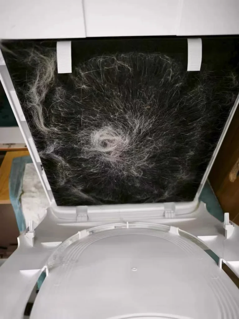 Pet hair collected across an air purifier pre-filter