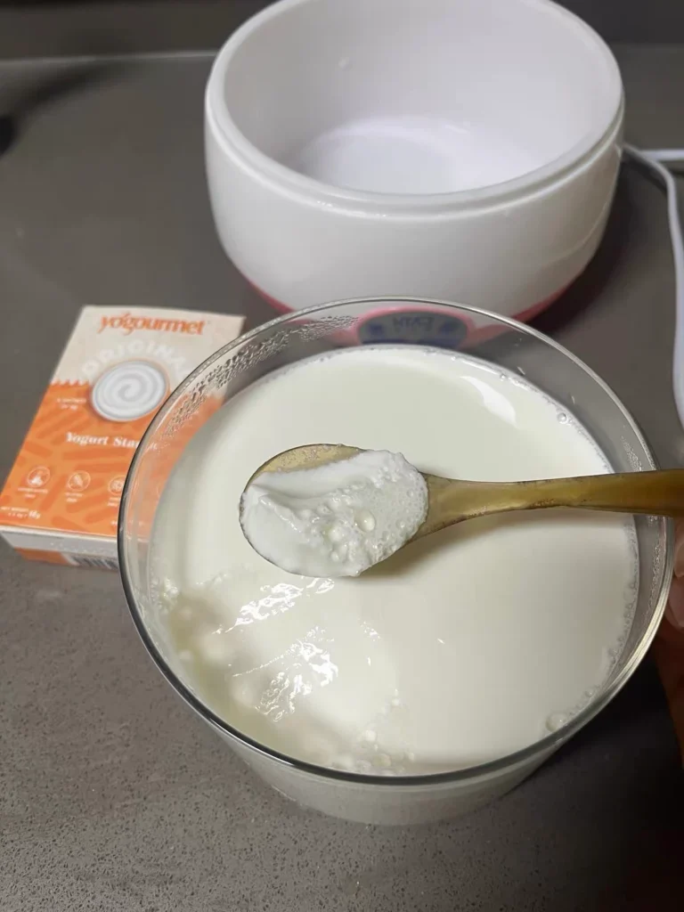 A box of freeze-dried yogurt starter beside a bowl of yogurt with a gold spoon.