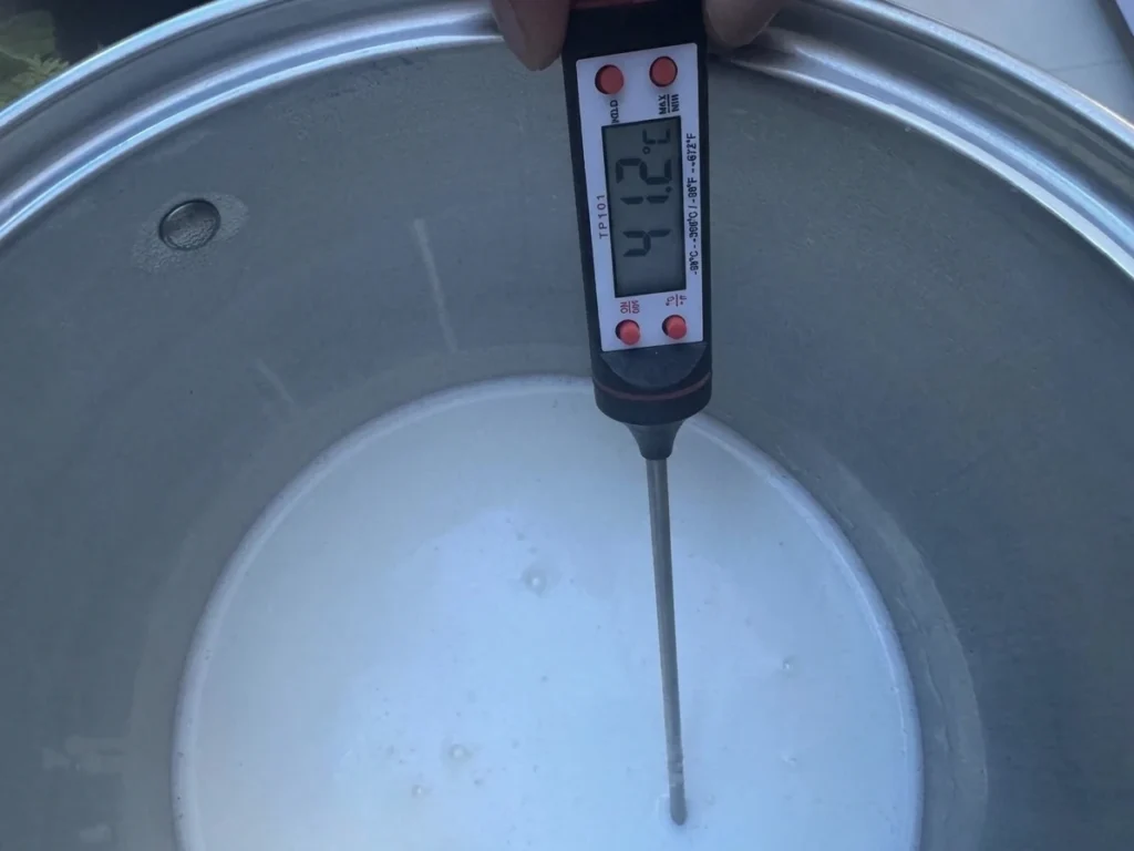 A digital thermometer checking the temperature of milk in a stainless steel pot