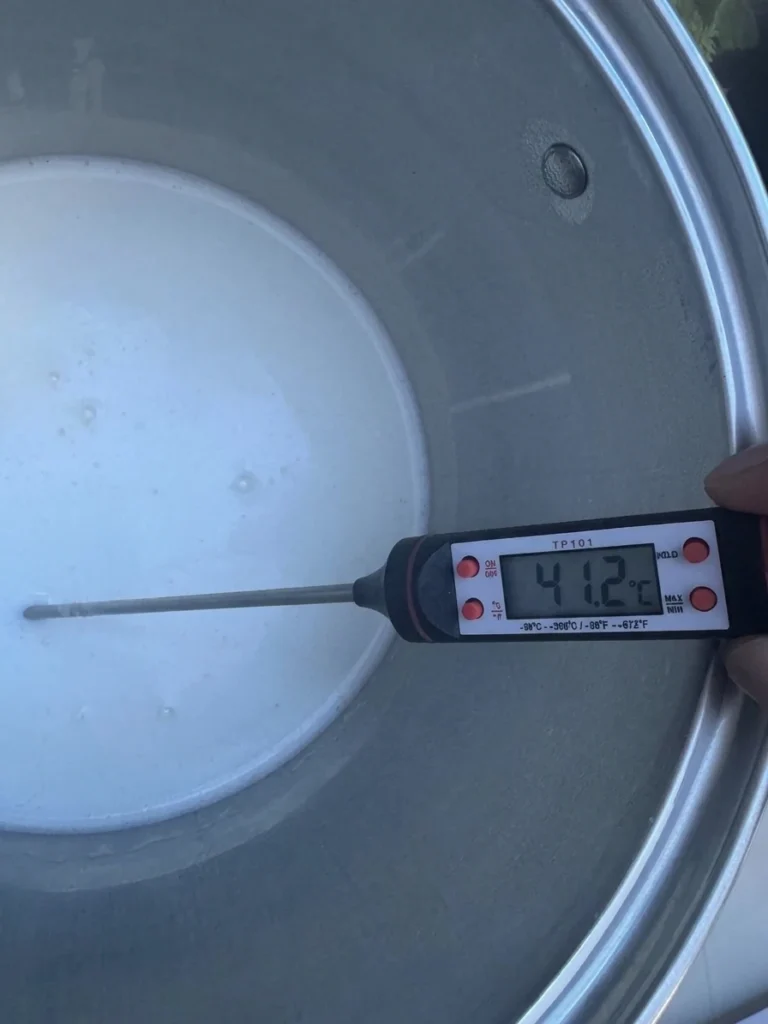 A digital thermometer checking the temperature of milk in a stainless steel pot