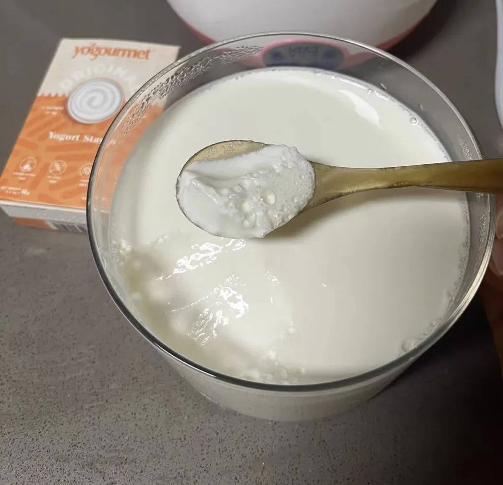 Yogourmet yogurt starter beside a bowl of homemade yogurt