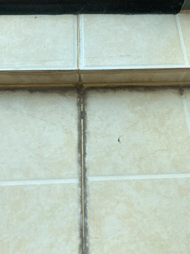 Darkened grout lines between shower wall tiles