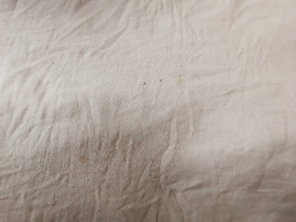 Faint reddish-brown marks on a wrinkled light-colored bedsheet