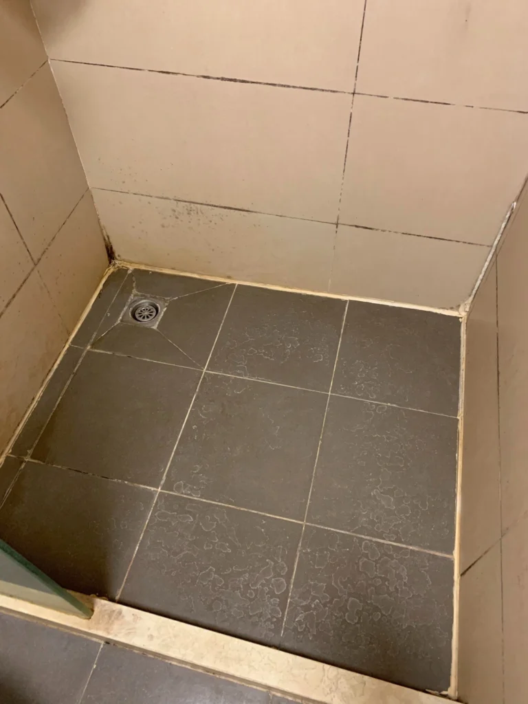 Gray shower floor tiles and tiled wall corner inside a shower